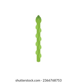 Health asparagus icon flat vector. Plant bunch. Raw salad isolated