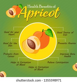 Health Benefits Apricot Fresh Fruit Healthy Stock Vector (Royalty Free ...