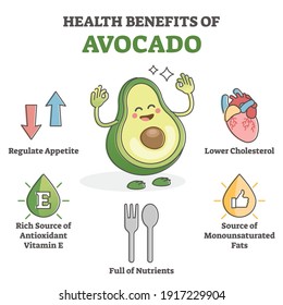 Health Benefits Of Avocado Eating As Nutrient Value Scheme Outline Concept. Educational Body Effects From Superfood Product Like Cholesterol, Monounsaturated Fats And Antioxidants Vector Illustration