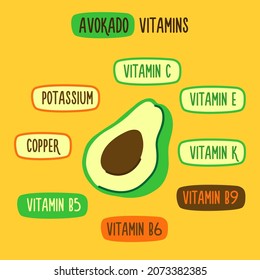 Health benefits of avocado. Avocado vitamins with infographic. Green avocado food. Organic raw vegan healthy food. Vitamin C, E, K, B9, B5, B6, Copper, Potassium. Vector illustration