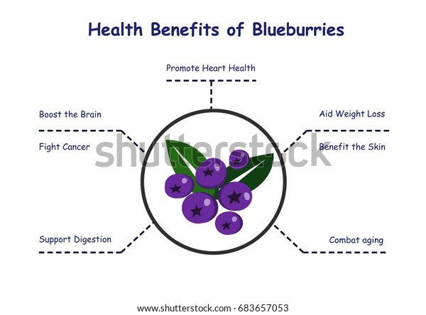 Health Benefits Blueberries Blueberries Health Benefits Stock Vector