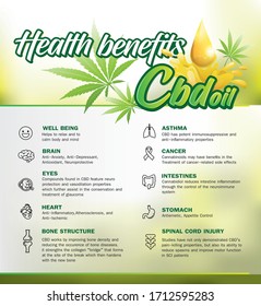 Health Benefits CBD Oil,Medical Uses For Cbd Oil Icon Infographic Poster Vector Illustration.
