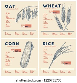 Health Benefits Of Cereals, Rice Wheat Oat And Corn . Nutrition Facts. Hand Draw Sketch Vector Set.