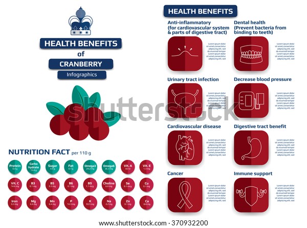 Health Benefits Cranberry Infographic Medical Vector Stock Vector Health Benefits Cranberry Infographic Medical Vector Stock Vector
