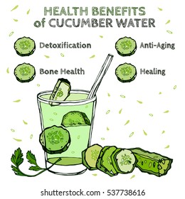 Health benefits of cucumber water. Beautiful handdrawn image in bright green colours. Vector illustration in unique artistic style on a white background. Natural and organic food creative concept.