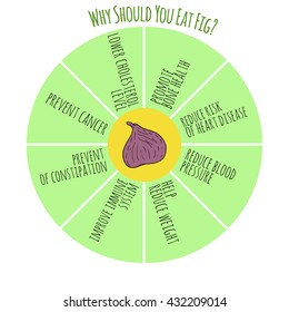 Health benefits of fig. Hand drawn helpful infographics. Vegan protein sources. Vegan vitamin sources. Why should you eat more fruits.