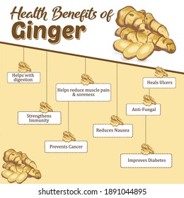 Health Benefits of Ginger. Immunity Booster