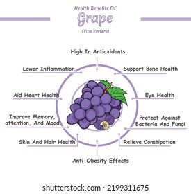 Health benefits of grape illustration.
ready to use, ready to print, easy to edit, colorful, vector file.