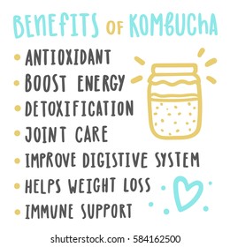 Health Benefits Of Kombucha. Vector Hand Drawn Illustration