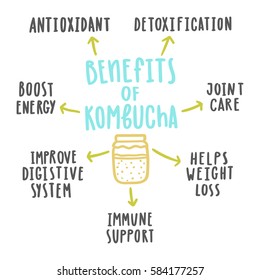 Health Benefits Of Kombucha. Vector Hand Drawn Illustration