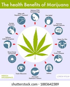 Health Benefits Marijuana Infographic Medical Marijuana Stock Vector ...