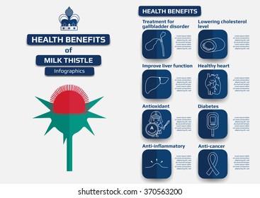 Health Benefits Of Milk Thistle Infographic, Supplement For Medical Health Education Vector Illustration.