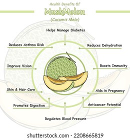 Health benefits of a muskmelon illustration.
vector file, easy to edit, ready to print, ready to use, colorful.