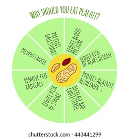 Health benefits of peanut. Hand drawn helpful infographics. Vegan protein sources. Vegan vitamin sources. Why should you eat more nuts.
