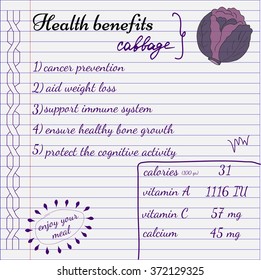 Health benefits of purple cabbage. Nutrition facts infographics. Hand drawn health benefits.