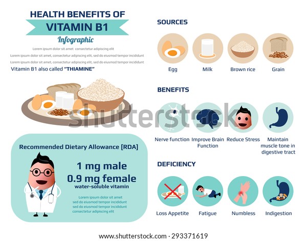 Health Benefits Vitamin B1 Thiamine Infographic: Stock-Vektorgrafik ...