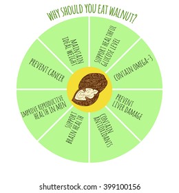 Health benefits of walnut. Hand drawn helpful infographics. Vegan protein sources. Vegan vitamin sources. Why should you eat more vegetables.