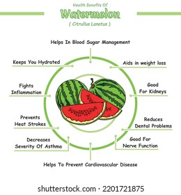 Health benefits of watermelon illustration.
vector file, ready to use, ready to print, easy to edit, health care.