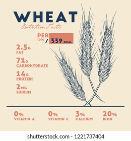 Health Benefits Of Wheat . Nutrition Facts. Hand Drawn Health Benefits Vector.