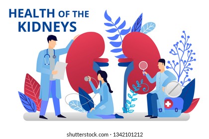 Health Care Concept. Doctors Doing Medical Research.Urology And Urology And Nephrology, Kidneys Health. Vector Illustration For Web Banners, Brochure Cover Design And Flyer Layout Template