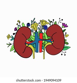 Health care concept. Urology and urology and nephrology, kidneys health. Vector illustration for web banners, brochure cover design and flyer layout template