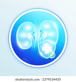 Health care kidney human internal organs. Medical symbol cross in blue shield and check mark in green button. Labels for design food and pharmaceutical business products. Vector EPS10.