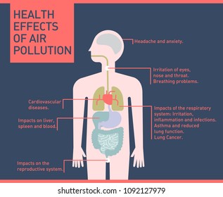 Health Effects Of Air Pollution On Human Body, Infographic Flat Illustration Vector