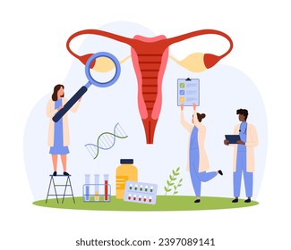 Health of female reproductive system, gynecology checkup vector illustration. Cartoon tiny people check diagram of ovary, cervix, fallopian tubes with magnifying glass, gynecologists examination