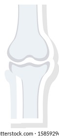 Health & Fitness flat icons for join  & bone 