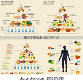 1,833 Food web pyramid Images, Stock Photos & Vectors | Shutterstock