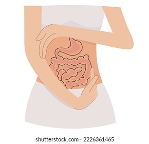 Health of the gastrointestinal tract. The intestines are in the caring hands of a woman. The concept of health care, the health of the digestive system.Intestines in gentle human hands.Vector isolated