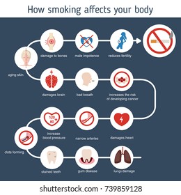 Health and healthcare infographic. How smoking affects your body.