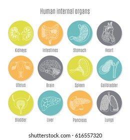 Health icons set, vector collection of human internal organs isolated on light background