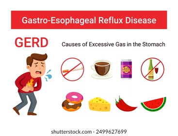 Health Infographic Causes of Excessive Gas in the Stomach GERD Disease