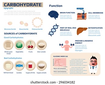 Health Information Of Carbohydrate Infographic, Vector Illustration.