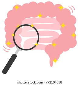 Health intestine ,healthy bowel with magnifying glass, cartoon vector illustration isolated on white background.