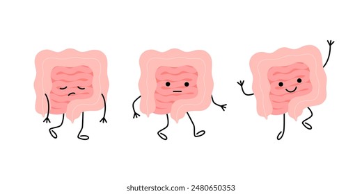 Health of intestine from sad unhealthy disease gut to happy with good microflora, cartoon character. Check health of intestine. Internal organ gut, intestine, colon, rectum, bowel. Vector illustration