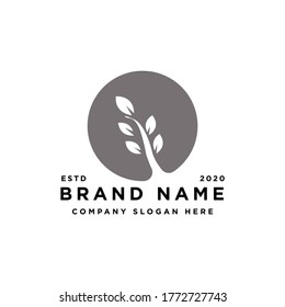 health leaf logo design. vector illustration