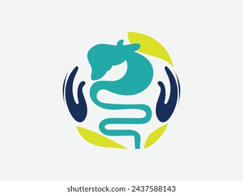 Health logos for the liver, stomach, human internal organs, hospital logo, love  protect health logo