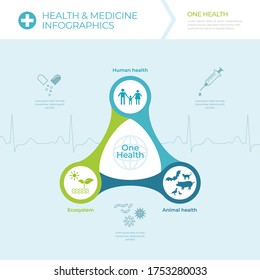 Health and Medical Infographic Vector image