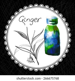 Health and Nature Collection. Aromatic ginger oil (watercolor and graphic illustration)