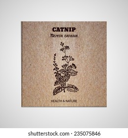 Health and Nature Collection. Banner template with a herb on cardboard background. Catnip - Nepeta cataria