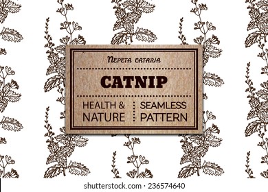 Health and Nature Collection. Seamless pattern with a herb and cardboard card. Catnip - Nepeta cataria