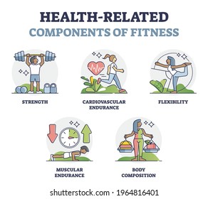 Health related components of fitness with sport factors outline collection. Body training synergy with strength, cardiovascular and muscular endurance, flexibility and food diet vector illustration.