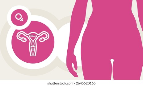 saúde da mulher, sistema reprodutivo, útero e ovários - modelo, faixa, infográfico - ilustração vetorial