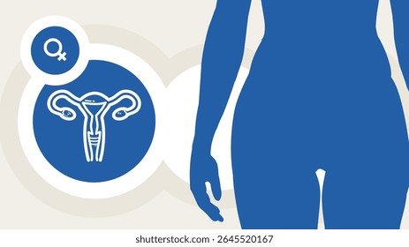 saúde da mulher, sistema reprodutivo, útero e ovários - modelo, faixa, infográfico - ilustração vetorial