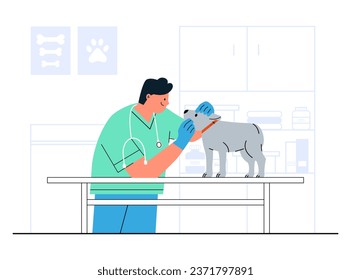 Healthcare annual checkup pet concept illustration. Veterinarian examining dog on table in vet clinic. Medical center for domestic animals. Flat vector illustration isolated on white background