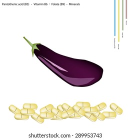 Healthcare Concept, Fresh Ripe Eggplant with Pantothenic Acid B5, Vitamin B6, Folate B9 and Minerals Tablet, Essential Nutrient for Life.
