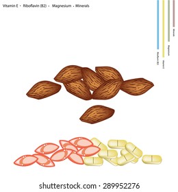 Healthcare Concept, Illustration of Almonds with Vitamin E, Riboflavin or B2, Magnesium and Minerals Tablet, Essential Nutrient for Life.
