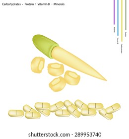 Healthcare Concept, Illustration of Baby Corn with Carbohydrates, Protein, Vitamin B and Minerals Tablet, Essential Nutrient for Life.
